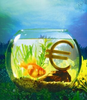 акча тартуу үчүн алтын балык менен аквариум